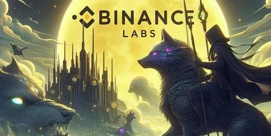 SkyArk谎称获币安领投1500万美元融资！Binance Labs辟谣不知情