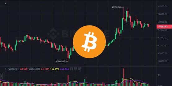 比特币跃升48170、以太坊站稳2500美元！巨鲸三周买入14万枚BTC