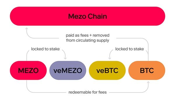 一览风投机构纷纷入局的 BTC 相关公链生态