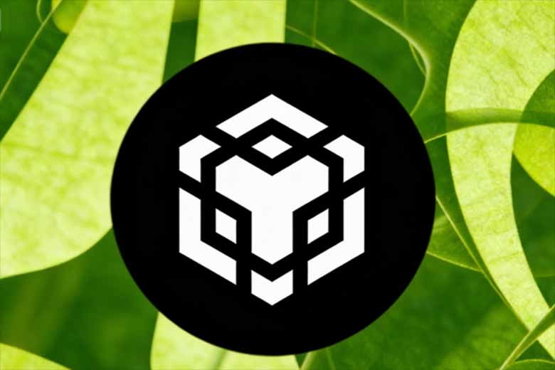 BNB价格分析：今日价格站上900美元，2000美元目标是否可期？