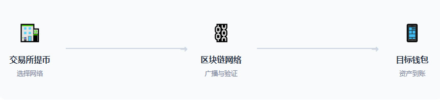 TRC20、ERC20、BEP20有什么区别？新手转账选哪条链手续费最便宜？