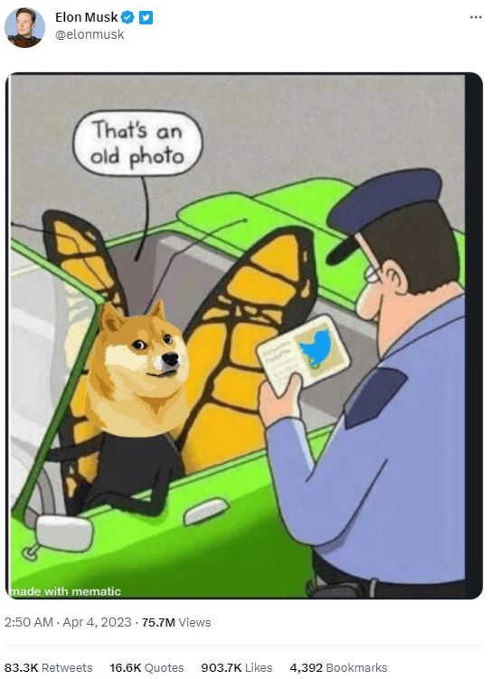 狗狗币未来发展和购买教程