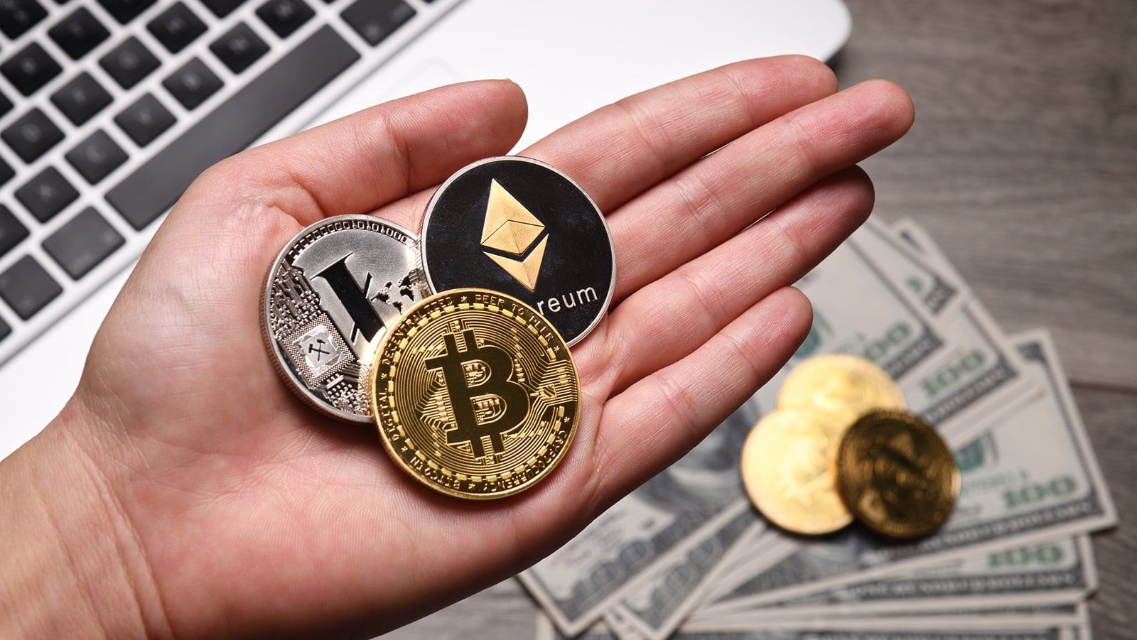 2026年1月加密空投指南:最值得关注的7个项目