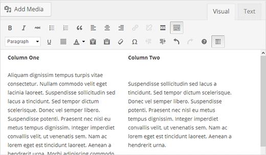 This is how your columns would appear in the WordPress post editor