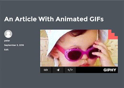 Gif from Giphy embeded into a WordPress post