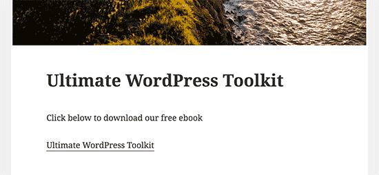 WordPress博客文章中的PDF文件下载链接