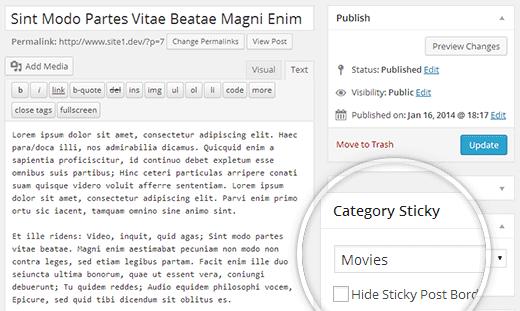 Category sticky metabox on post edit screen in WordPress