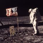 Lilly - First Dog on the Moon