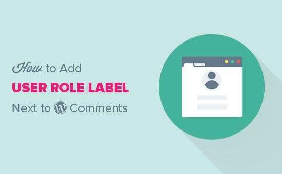 Add user role next to comments in WordPress