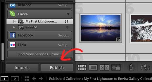 Publish from Lightroom to Envira Gallery