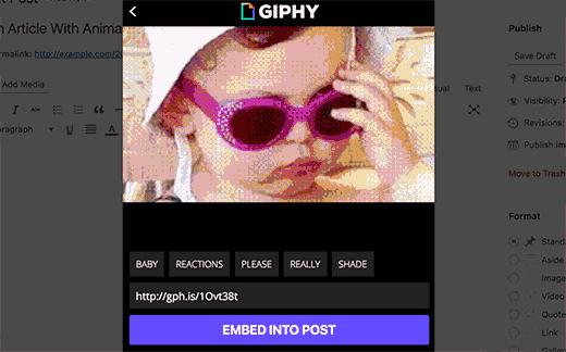 Embed Giphy