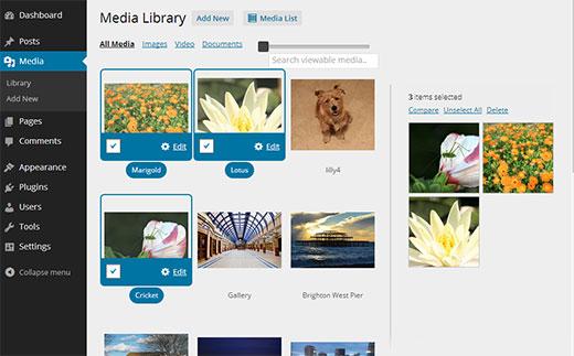 WordPress media library in grid view