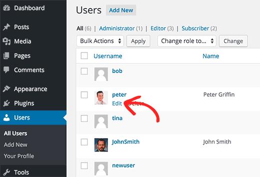 Editing user profiles by an Administrator in WordPress