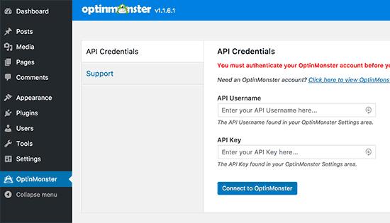 Enter OptinMonster API Keys