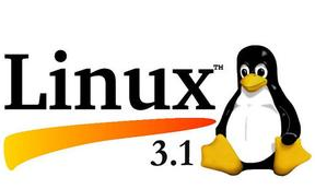 Linux 99