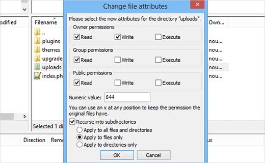 Setting file permissions for files in WordPress