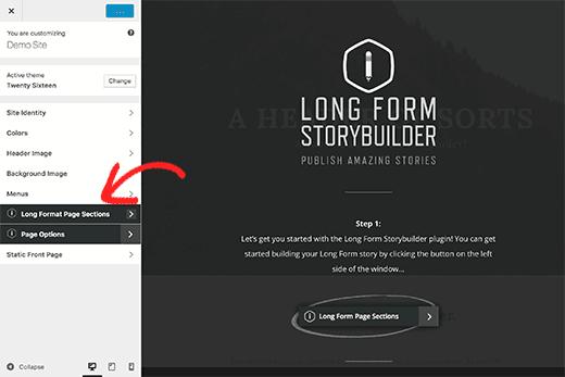 Long form content editor options inside customizer