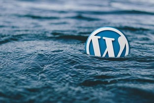 WordPress实现登录可见评论模块 (https://www.wp-admin.cn/) WordPress使用教程 第1张