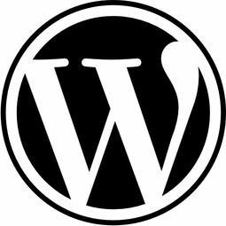 wordpress怎么修改上传文件默认类型 (https://www.wp-admin.cn/) WordPress使用教程 第1张
