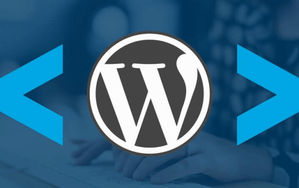 WordPress建站一般用于哪些类型的站点？ (https://www.wp-admin.cn/) WordPress使用教程 第1张