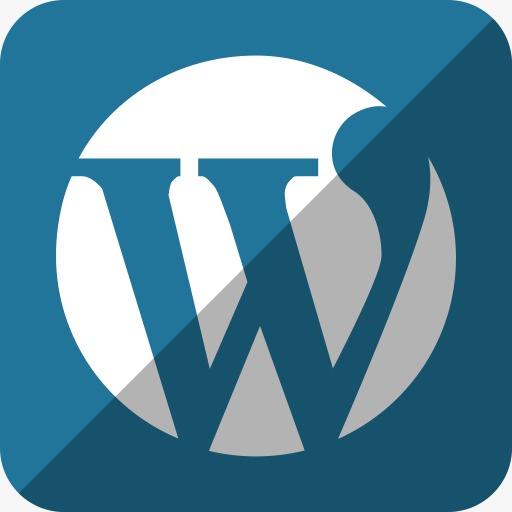 对文章进行评论时如何调用WordPress编辑器？ (https://www.wp-admin.cn/) WordPress使用教程 第1张