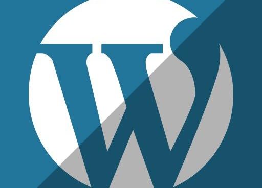 wordpress网站的前台页面一片空白的解决方法是什么？ (https://www.wp-admin.cn/) WordPress开发教程 第1张