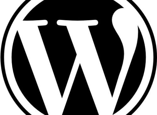 为什么现在越来越多的人选择WordPress 建设网站？ (https://www.wp-admin.cn/) WordPress使用教程 第1张