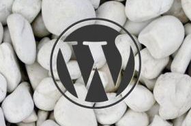 链接重定向跳转WordPress函数wp_redirect() (https://www.wp-admin.cn/) WordPress使用教程 第1张