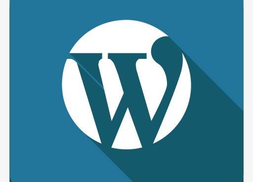 如何禁止WordPress后台自动升级？ (https://www.wp-admin.cn/) WordPress使用教程 第1张