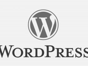 WordPress网站实现自定类型分类法投稿方法 (https://www.wp-admin.cn/) WordPress开发教程 第1张