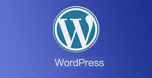 WordPress去除img标签的高度与宽度让图片自适应屏幕 (https://www.wp-admin.cn/) WordPress使用教程 第1张